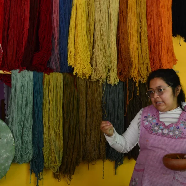 Zapotec weaver explaining naturally dyed wool yarns in Teotitlán del Valle on an Oaxaca food tour by Mexico Foodie Tours