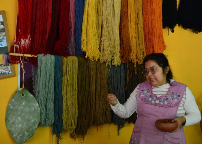 Zapotec weaver explaining naturally dyed wool yarns in Teotitlán del Valle on an Oaxaca food tour by Mexico Foodie Tours